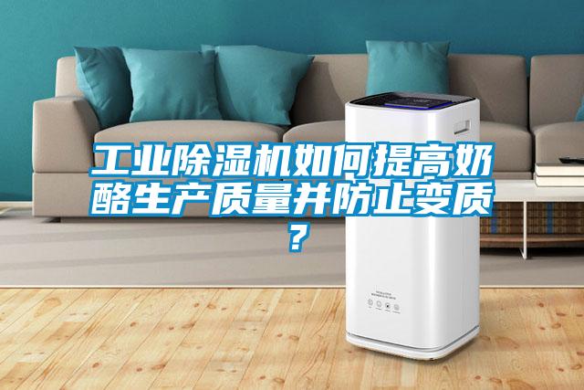 工業(yè)除濕機(jī)如何提高奶酪生產(chǎn)質(zhì)量并防止變質(zhì)?