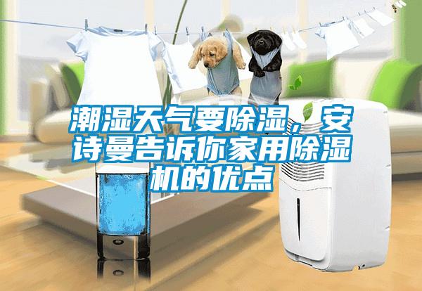 潮濕天氣要除濕,安詩曼告訴你家用除濕機的優點