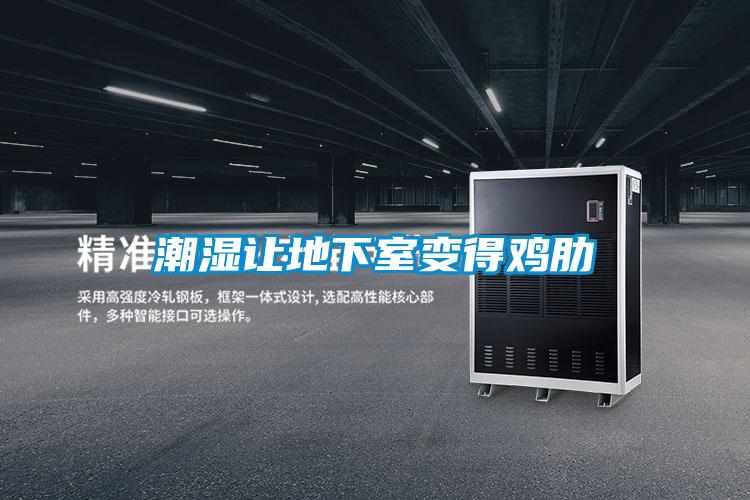 潮濕讓地下室變得雞肋