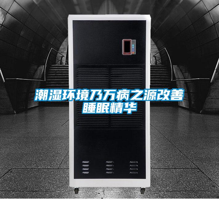 潮濕環境乃萬病之源改善睡眠精華
