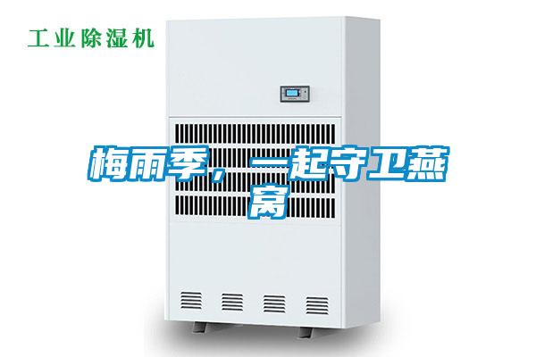 梅雨季，一起守衛(wèi)燕窩