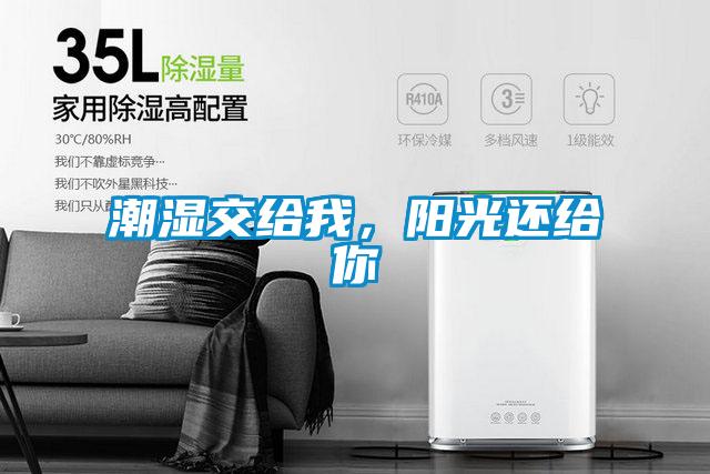 潮濕交給我,陽光還給你