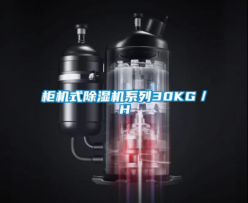 柜機式除濕機系列30KG/H