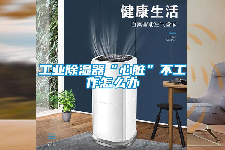 工業(yè)除濕器“心臟”不工作怎么辦