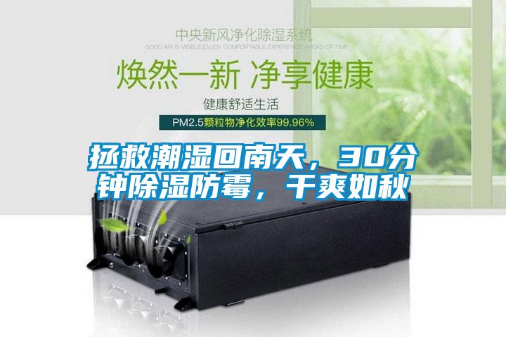 拯救潮濕回南天,30分鐘除濕防霉,干爽如秋