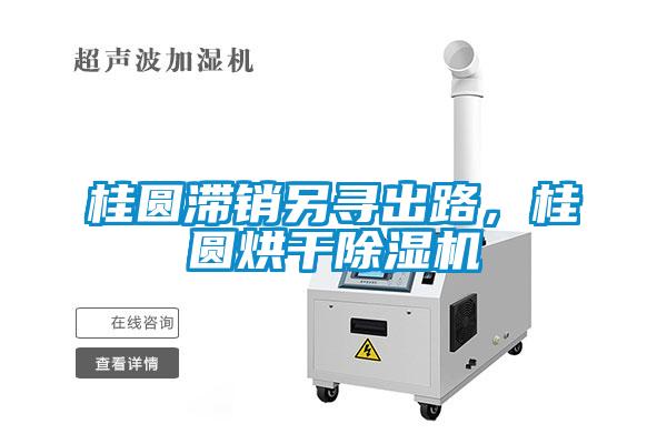 桂圓滯銷另尋出路，桂圓烘干除濕機