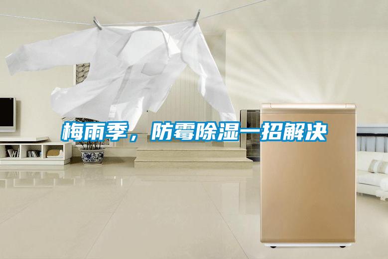 梅雨季，防霉除濕一招解決