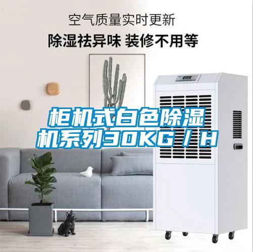 柜機(jī)式白色除濕機(jī)系列30KG/H