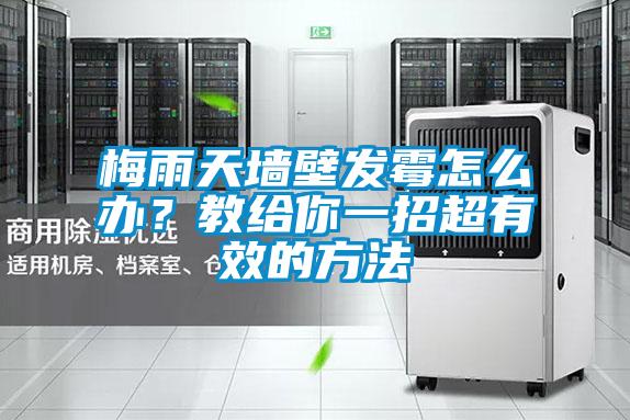 梅雨天墻壁發霉怎么辦？教給你一招超有效的方法