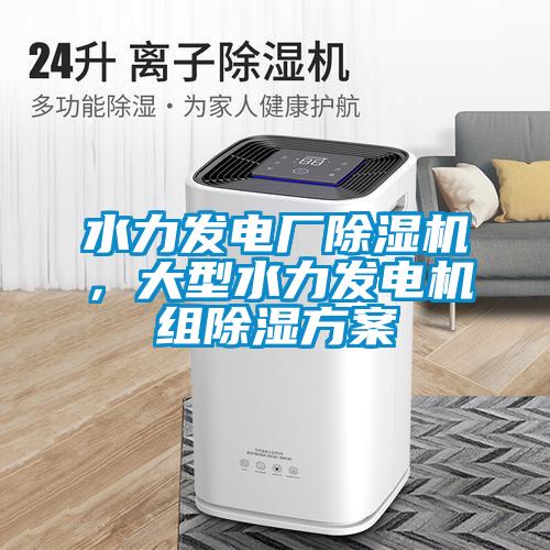 水力發(fā)電廠除濕機(jī),大型水力發(fā)電機(jī)組除濕方案