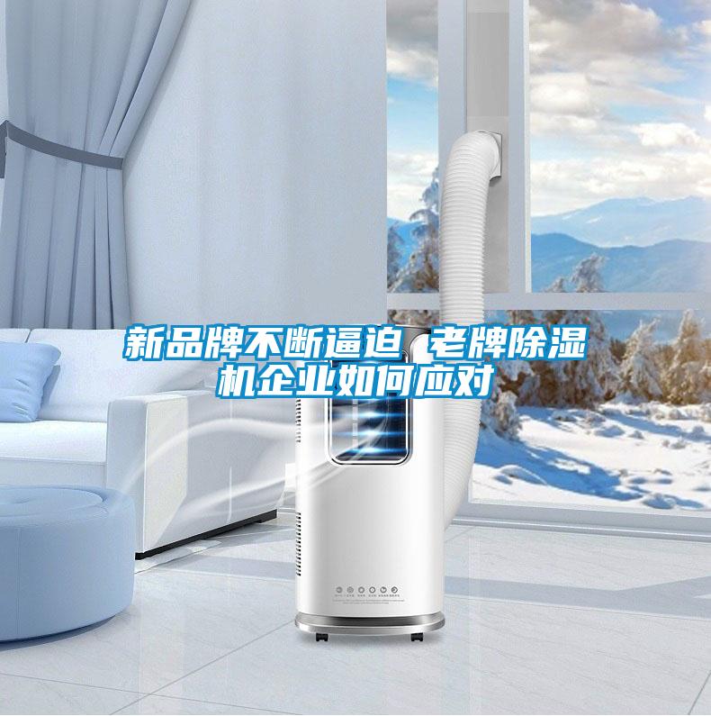 新品牌不斷逼迫 老牌除濕機企業如何應對