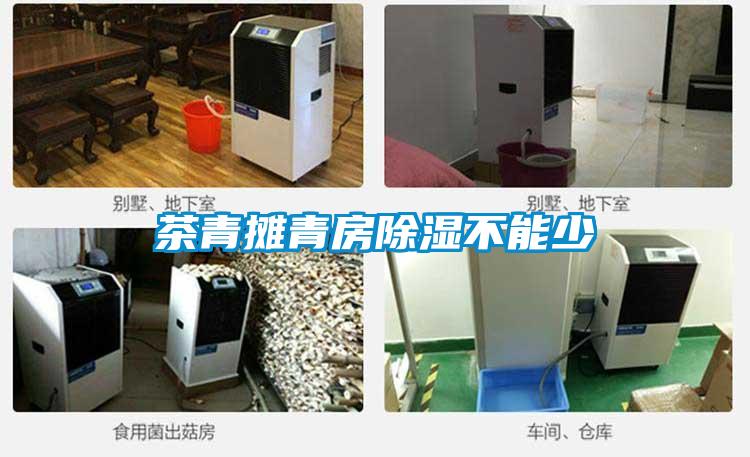茶青攤青房除濕不能少