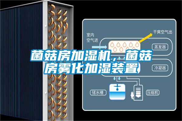 菌菇房加濕機(jī),菌菇房霧化加濕裝置