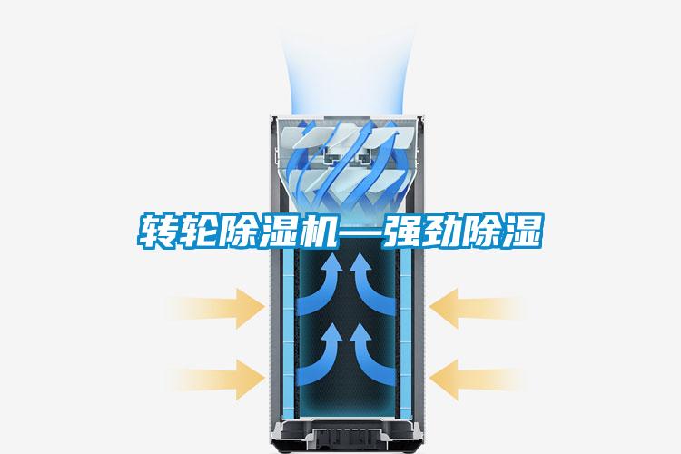 轉(zhuǎn)輪除濕機(jī)—強(qiáng)勁除濕