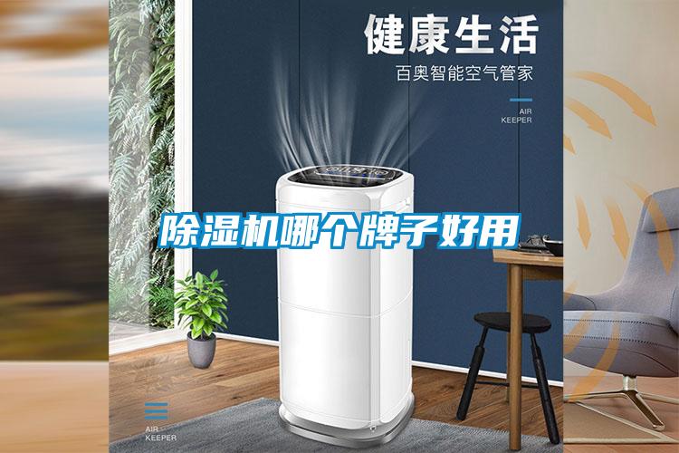除濕機哪個牌子好用