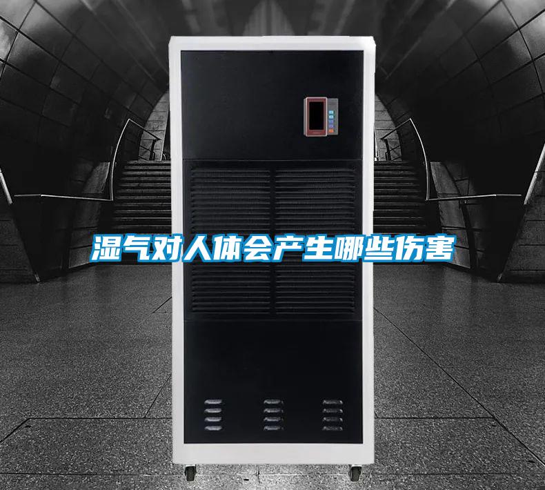 濕氣對人體會產生哪些傷害