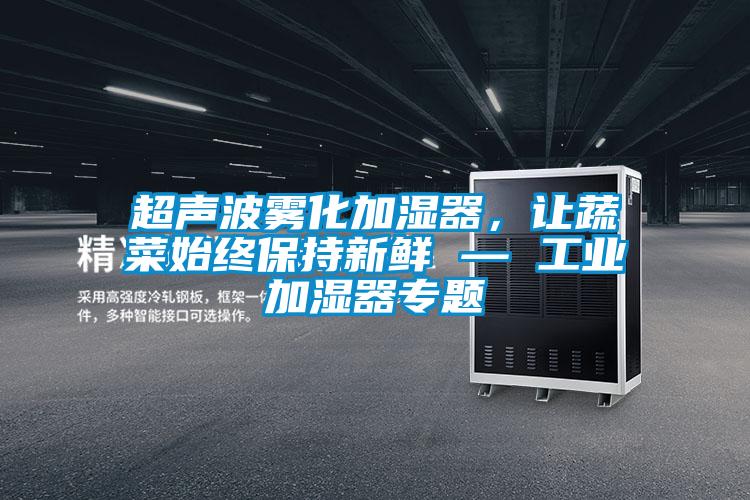 超聲波霧化加濕器，讓蔬菜始終保持新鮮 — 工業(yè)加濕器專題