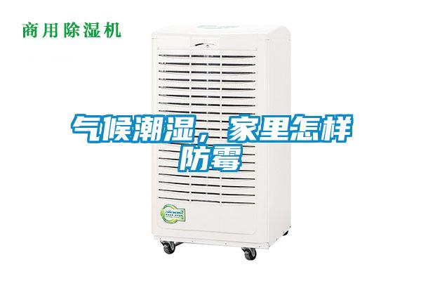 氣候潮濕，家里怎樣防霉