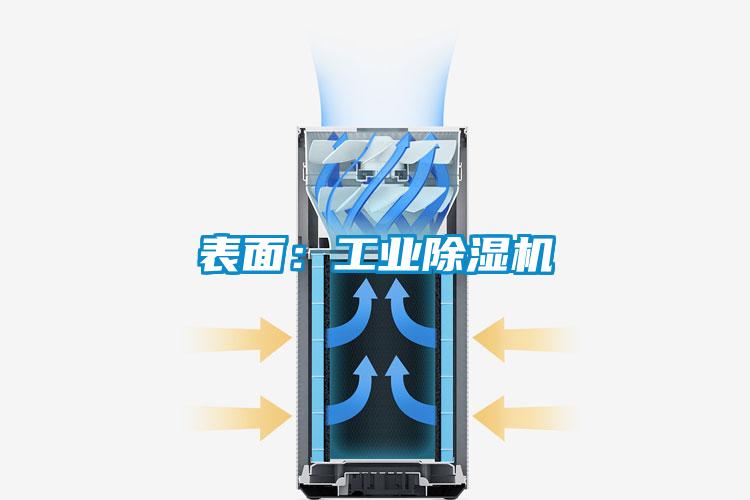 表面：工業(yè)除濕機(jī)