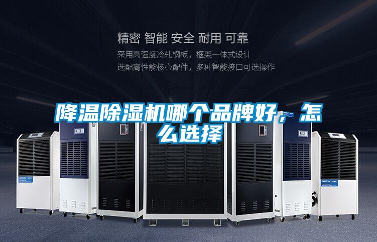 降溫除濕機哪個品牌好,怎么選擇