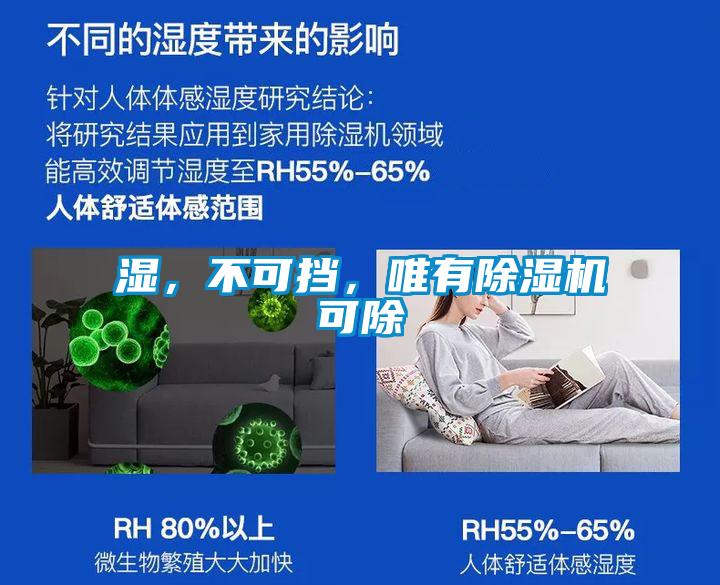 濕,不可擋,唯有除濕機可除