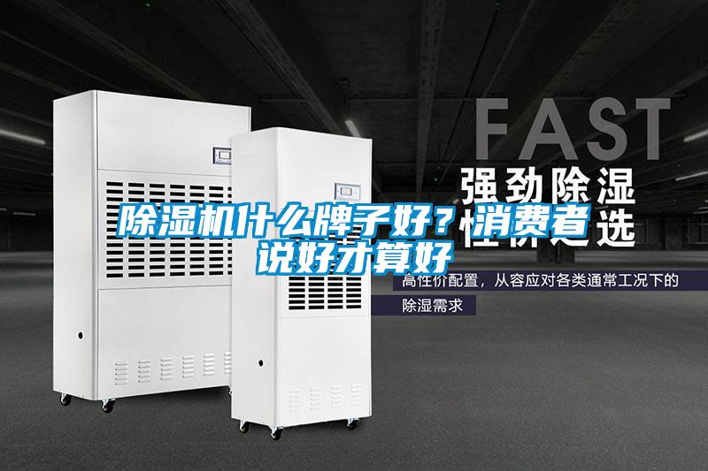 除濕機(jī)什么牌子好?消費(fèi)者說好才算好