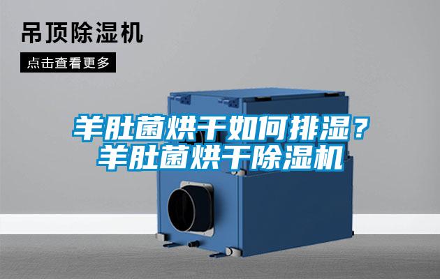 羊肚菌烘干如何排濕？羊肚菌烘干除濕機