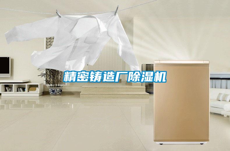 精密鑄造廠除濕機