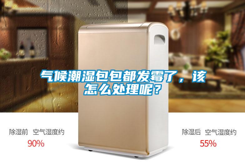 氣候潮濕包包都發(fā)霉了,該怎么處理呢?