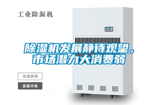 除濕機發展靜待觀望,市場潛力大消費弱