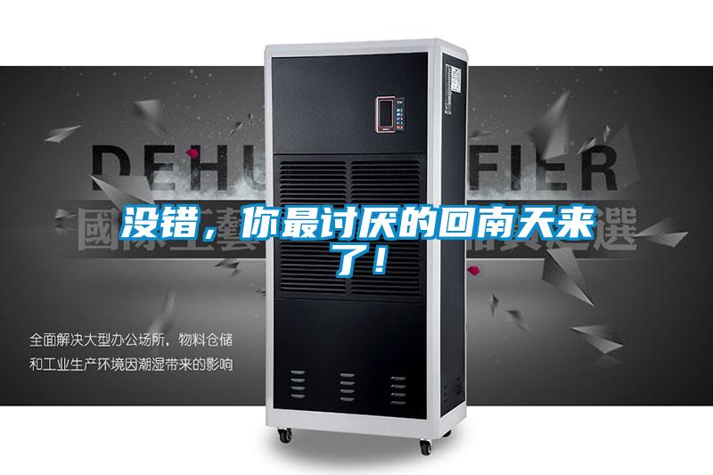 沒錯,你最討厭的回南天來了!