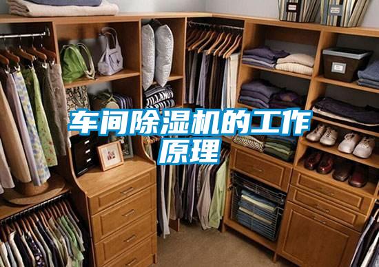 車間除濕機的工作原理