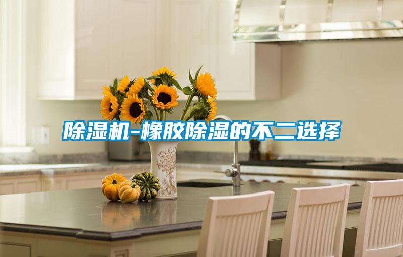 除濕機-橡膠除濕的不二選擇