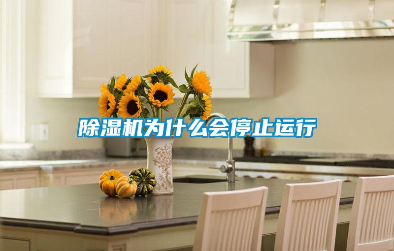 除濕機為什么會停止運行