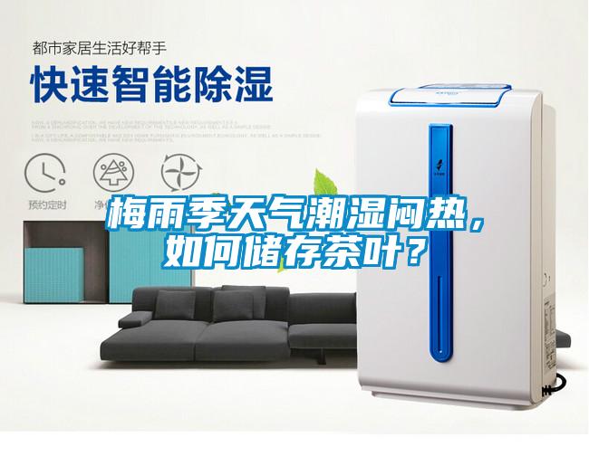 梅雨季天氣潮濕悶熱,如何儲存茶葉?