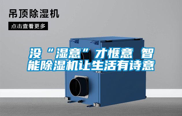 沒“濕意”才愜意 智能除濕機讓生活有詩意