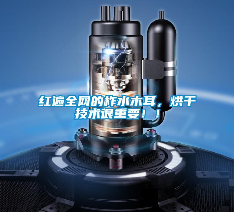 紅遍全網的柞水木耳,烘干技術很重要!!