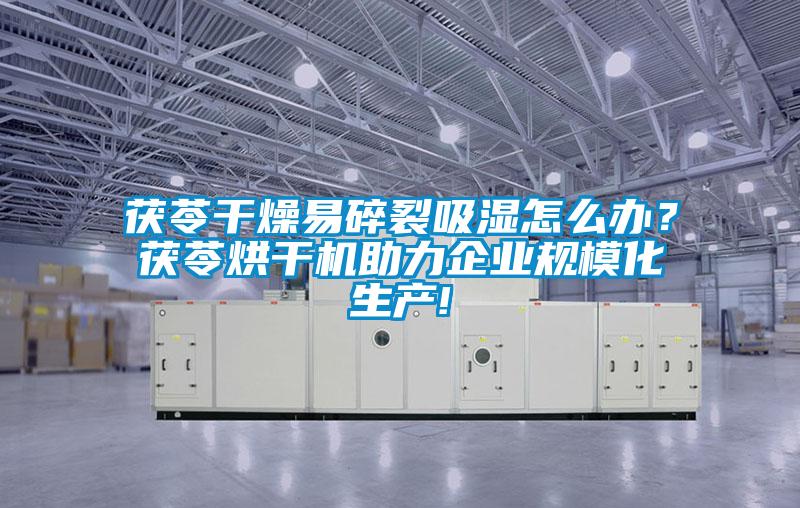 茯苓干燥易碎裂吸濕怎么辦?茯苓烘干機助力企業規模化生產!