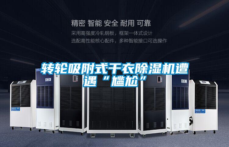 轉輪吸附式干衣除濕機遭遇“尷尬”