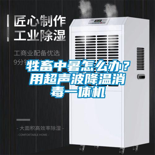 牲畜中暑怎么辦?用超聲波降溫消毒一體機