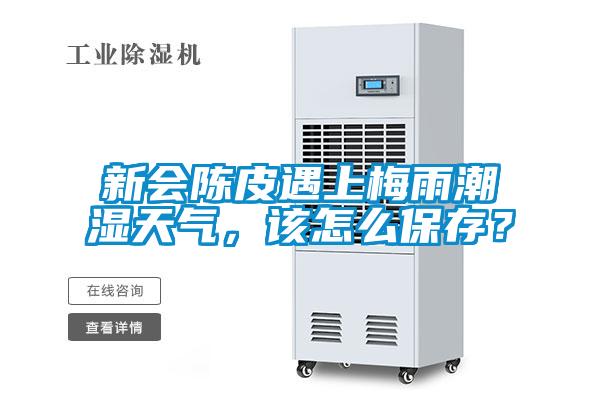 新會(huì)陳皮遇上梅雨潮濕天氣,該怎么保存?