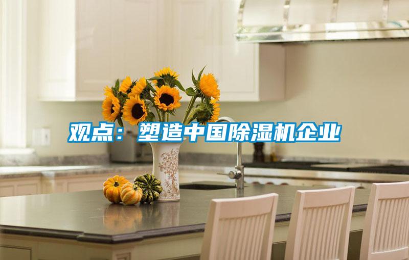 觀點：塑造中國除濕機企業