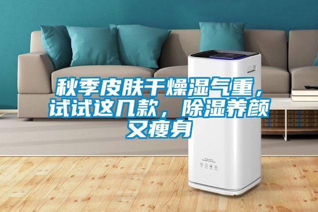 秋季皮膚干燥濕氣重,試試這幾款,除濕養顏又瘦身