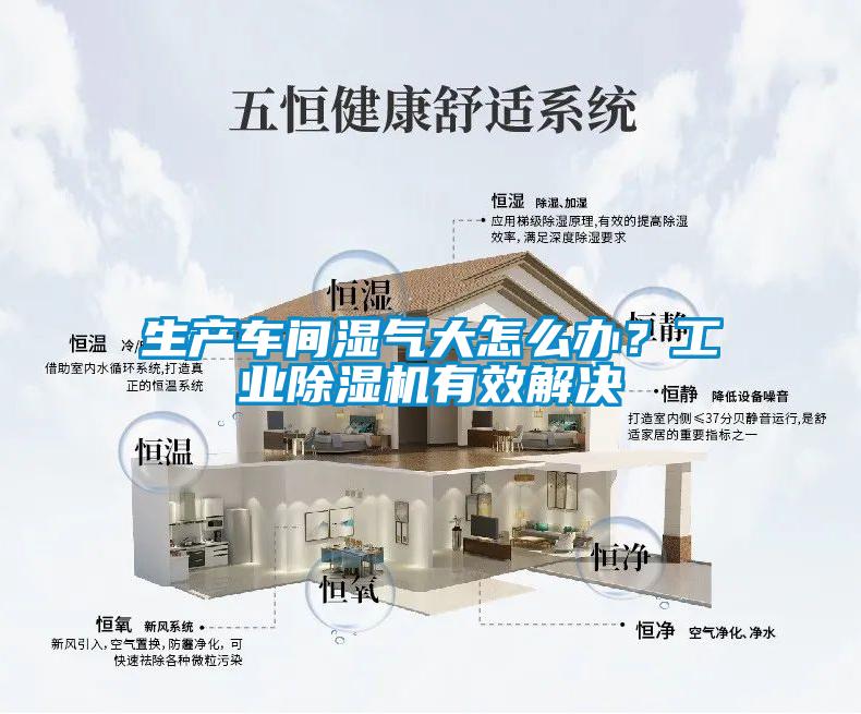 生產(chǎn)車間濕氣大怎么辦?工業(yè)除濕機(jī)有效解決