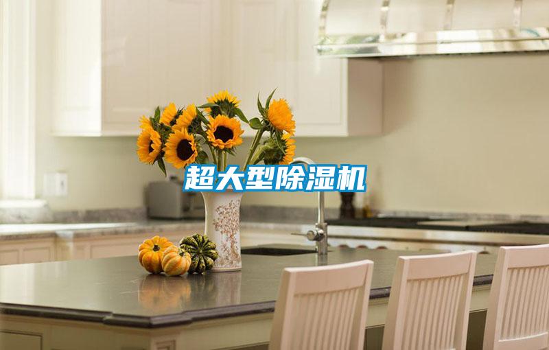超大型除濕機