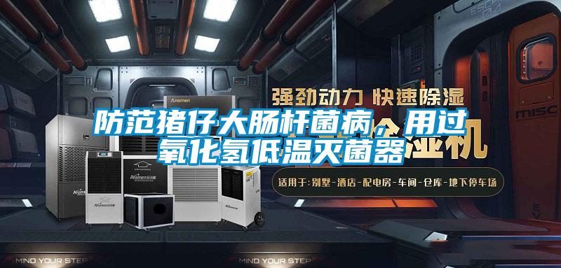 防范豬仔大腸桿菌病,用過氧化氫低溫滅菌器