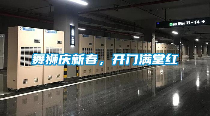 舞獅慶新春，開門滿堂紅