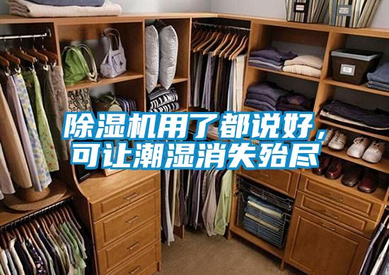 除濕機用了都說好,可讓潮濕消失殆盡