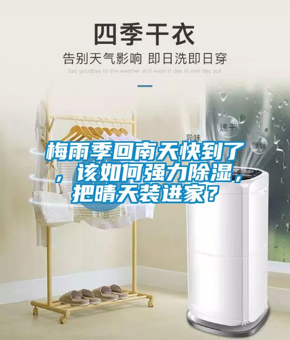 梅雨季回南天快到了，該如何強力除濕，把晴天裝進家？
