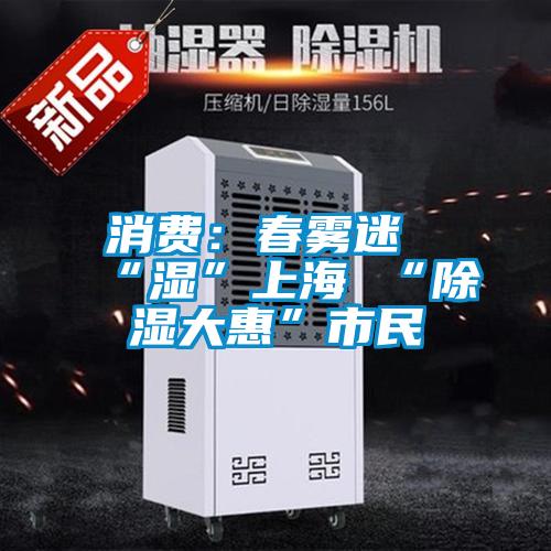 消費(fèi):春霧迷“濕”上海 “除濕大惠”市民